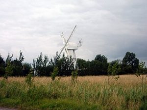 STC Committee Meeting Video Held On 15/02/23