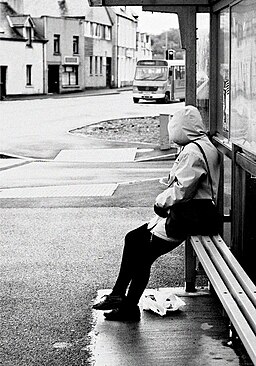 Videos of STC and STBF Monthly Meetings Held on 26/06/23